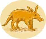 Aardvark African Ant Bear Drawing Stock Photo