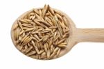 Wheat Seeds On Wooden Spoon Stock Photo