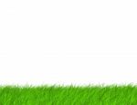 Grass Background Stock Photo