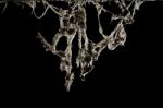 Cobweb Or Spider Web Isolated On Black Background In Ancient Tha Stock Photo