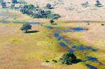 Okavango Delta Aerial View Stock Photo