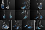 3d Rendering Medical Illustration Of The Metatarsal Bones Stock Photo