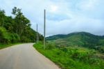 Curve Road Into Forest Stock Photo