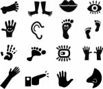 Anatomy Icons Stock Photo