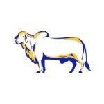 Brahman Bull Side View Retro Stock Photo