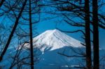 Mt. Fuji In Autumn At Kawaguchiko Lake Snow Landscape,mt. Fuji Is Famous Japan Mountain,tourist People Call Mt. Fuji As Fuji, Fujisan, Fujiyama, Fuji-san,japan Stock Photo