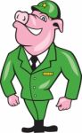 World War Two Pig Soldier Attention Cartoon Isolated Stock Photo