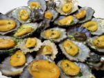 Grilled Limpets Meal With Lemon Stock Photo