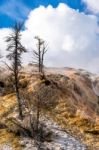 Mammoth Hot Springs Stock Photo