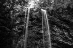 Twin Falls Waterfall Located In Springbrook National Park Stock Photo