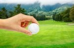 Hand With Ball In Golf Course Stock Photo