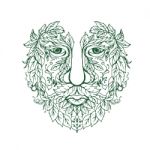 Green Man Head Front Mandala Stock Photo