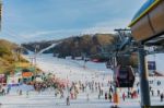 Vivaldi Park Ski Resort Stock Photo