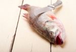 Fresh Whole Raw Fish Stock Photo