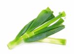 Japanese Bunching Onion Isolated Stock Photo