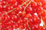 Redcurrants background Stock Photo