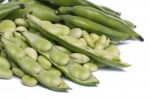 Broad Beans Stock Photo