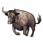 Hand Drawn Illustration Of Bull Stock Photo