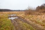 Broken Dirt Road In The Field Stock Photo