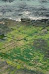 Tessellated Pavement In Pirates Bay Stock Photo