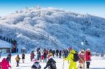 Deogyusan,korea - January 23: Tourists Taking Photos Of The Beautiful Scenery Around Deogyusan,south Korea On January 23, 2015 Stock Photo