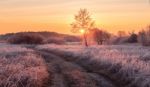 Fairy Frosty Winter Morning Stock Photo