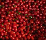 Close Up Group Of Red Tomatoes On Ground Use For Beautiful Backg Stock Photo