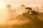 Misty Clouds Beautiful Foggy Forest During Sunrise Mountains Stock Photo