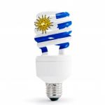 Uruguay Flag on energy saving lamp Stock Photo