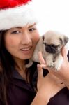 Woman With Puppy And Christmas Hat Stock Photo