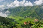 Rice Terraced Stock Photo