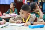 Activity Of Teaching Elementary Students. Elementary Students Are Test Lesson. The Students Intend Exam Stock Photo