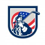 American Patriot Ice Hockey Shield Stock Photo