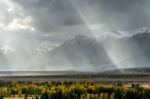 Autumn In The Grand Tetons Stock Photo