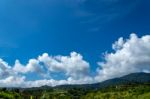 Trees And Mountains On A Bright Sky Stock Photo