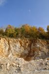 Landscape With Trees Stock Photo