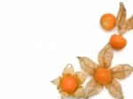 Fresh Cape Goosebery, Physalis, On White Background Stock Photo