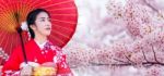 Asian Woman Wearing Japanese Traditional Kimono And Cherry Blossom In Spring, Japan Stock Photo