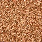 Buckwheat On A White Background Stock Photo