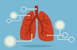 Lung Infographic Stock Photo