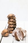 Several Clam Shells Isolated Stock Photo