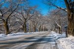 Road With Snow In Winter, Seoraksan In South Korea Stock Photo