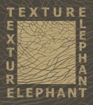 Elephant Skin Texture Stock Photo