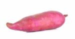 Sweet Potato Isolated On The White Background Stock Photo