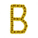 Isolated Sunflower Alphabet B Stock Photo