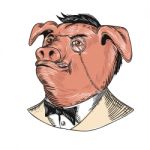 Aristocrat Pig Monocle Tuxedo Drawing Stock Photo