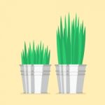 Plant In Zinc Pots Flat Icon Stock Photo