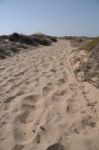 Beach Walkway Stock Photo