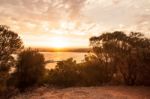 Tower Hill Wildlife Reserve Stock Photo