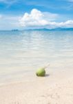 Green Coconut Fruit On White Beach Sand Stock Photo